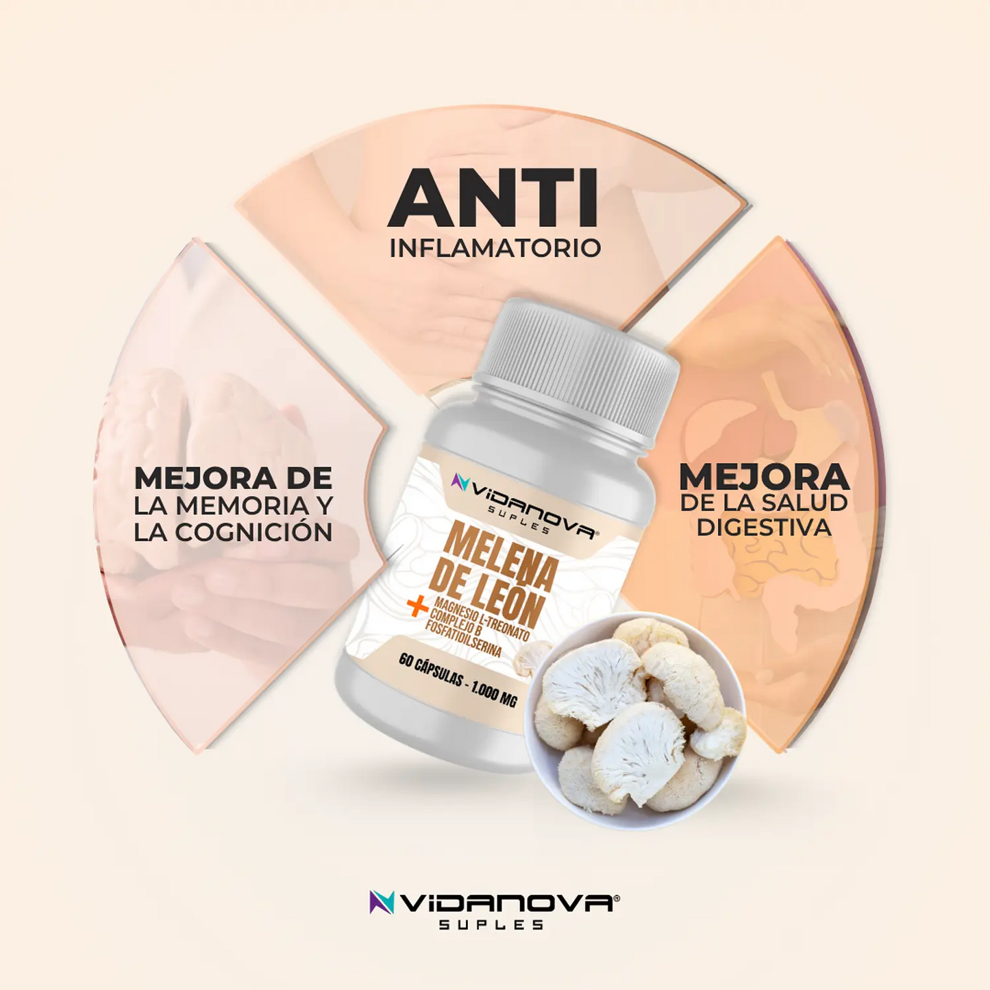 Melena de León Fortificada — 60 Cápsulas